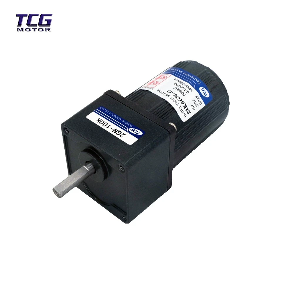 6RPM AC Gear Motor suppliers