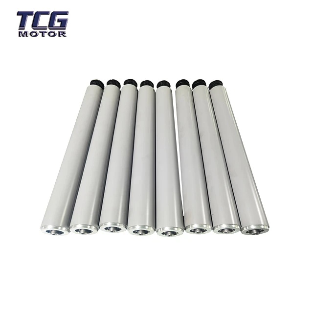 Double Shaft Conveyor Motor